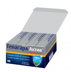 Гепагард актив 120 шт. капс. 0.36 г